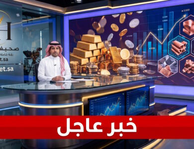 عاجل ثروة وطنية هائلة اكتشاف 14 مليون طن من الخامات المعدنية الثمينة في نجران